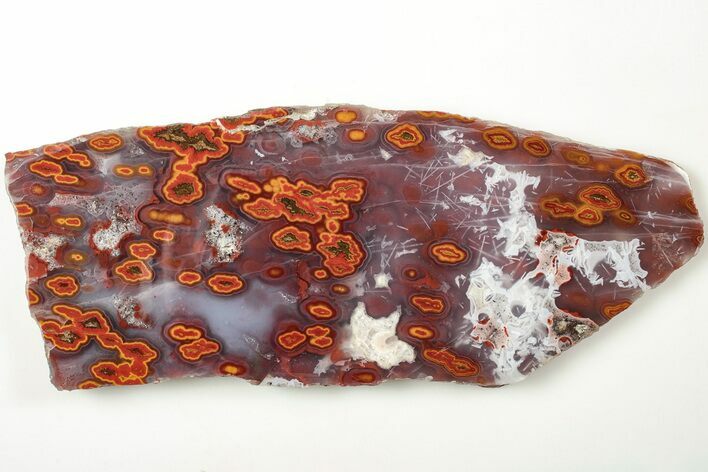 Fascinating, Polished Seam Agate - Kerrouchen, Morocco #207273